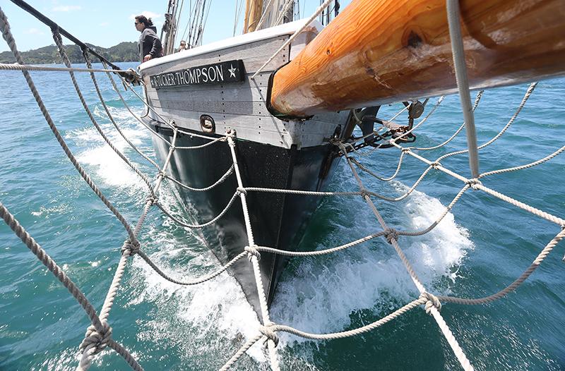 Sail on the R Tucker Thompson, Bay of Islands, NZ